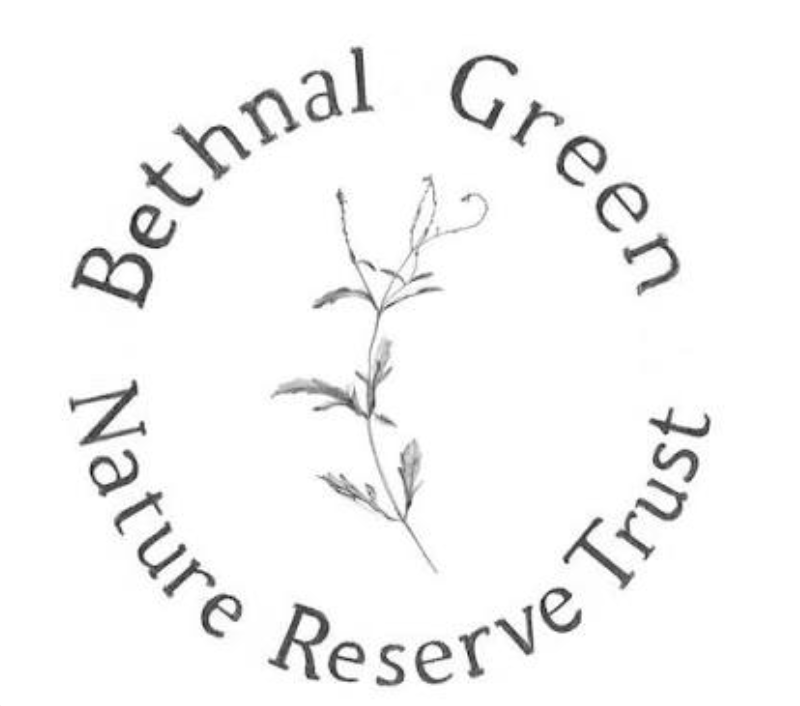 phytology-the-bethnal-green-nature-reserve