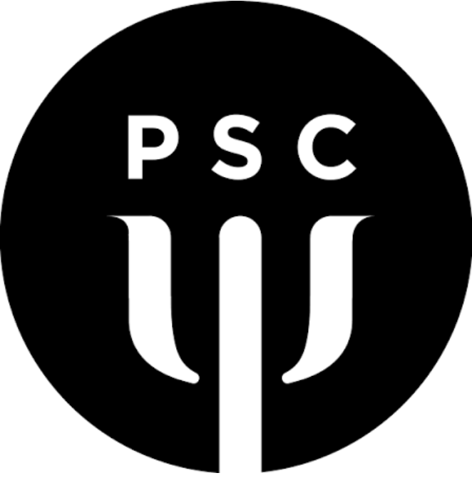 psychologists-for-social-change-london-network